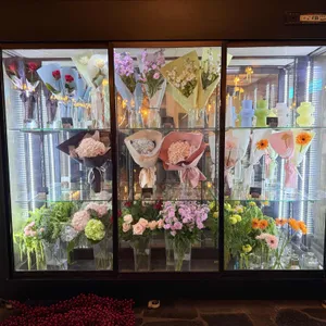 콜린 리뷰 사진