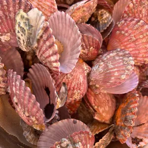 방갈로 대표 사진