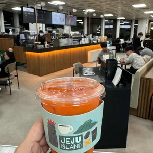 폴 바셋 제주공항 사진