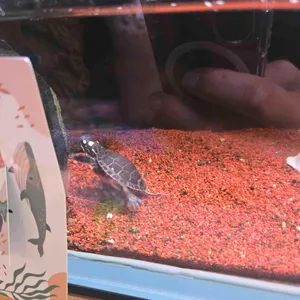 작은연못 리뷰 사진