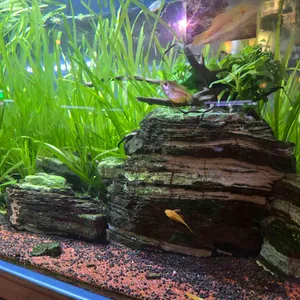 작은연못 리뷰 사진