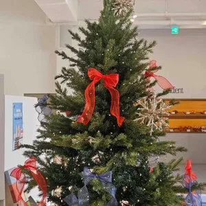 그라디언트 리뷰 사진