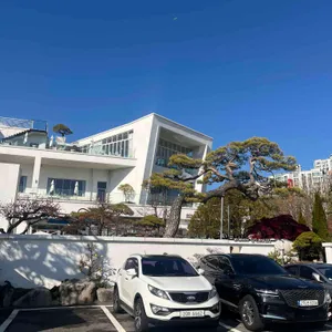 골드헤겔 리뷰 사진