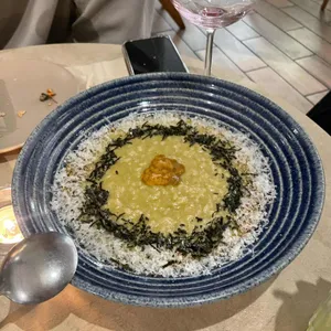 와일드 플라워 사진