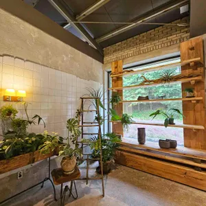 모하 더 그린하우스 리뷰 사진