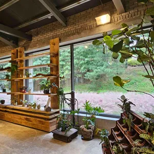 모하 더 그린하우스 리뷰 사진