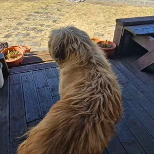 마라도 별장식당 리뷰 사진