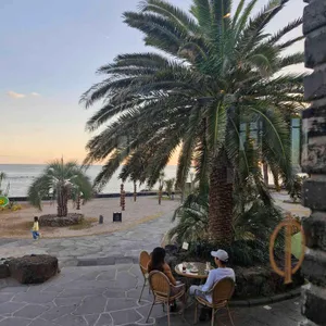 원앤온리 리뷰 사진