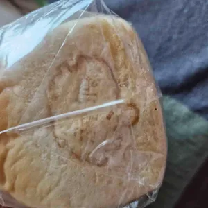 굴무기낭 사진 2