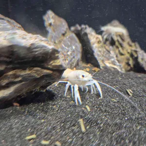 작은연못 리뷰 사진