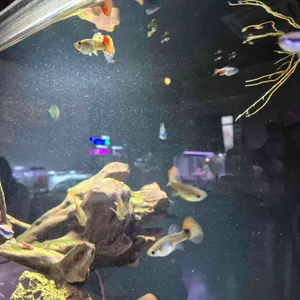 작은연못 리뷰 사진