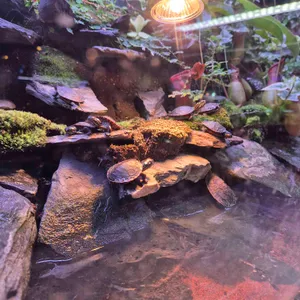 작은연못 리뷰 사진