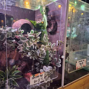 작은연못 리뷰 사진