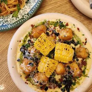 브리비트 사진 2