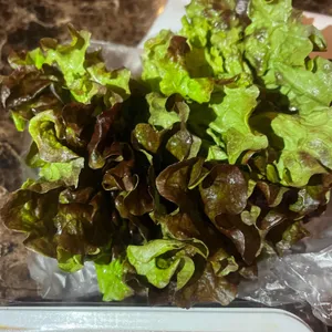 대학로오징어보쌈 사진