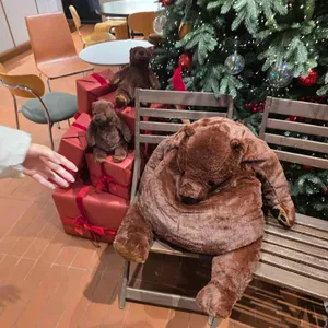 시노퍼 리뷰 사진