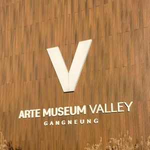 강릉 아르떼뮤지엄 티바 리뷰 사진