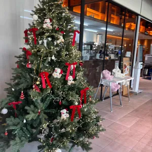 브런치투나잇 리뷰 사진