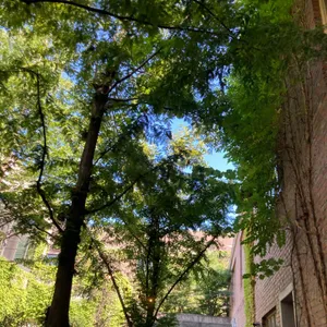 테라로사 리뷰 사진