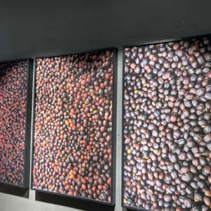 테라로사 리뷰 사진