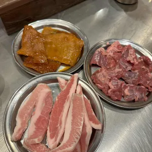 신마포갈매기 사진