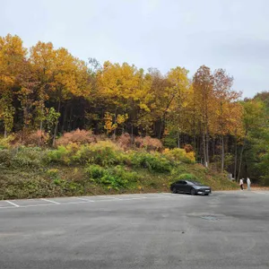 봄날 리뷰 사진