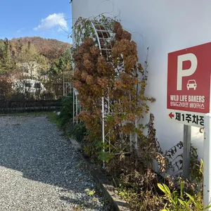 와일드라이프 베이커스 리뷰 사진