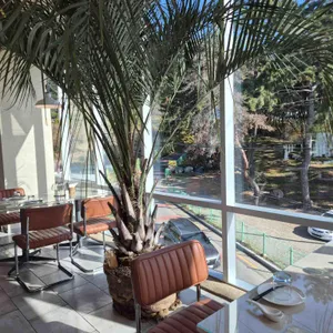 코카로카 리뷰 사진