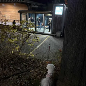 가파도청보리밥 리뷰 사진