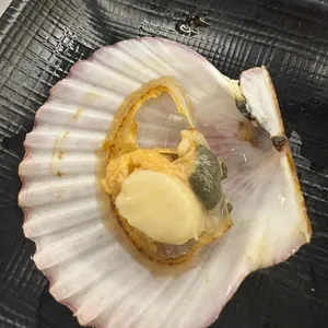 하와이조개 사진