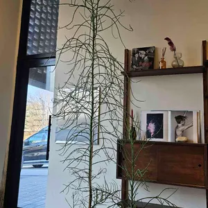 카페투엘브 리뷰 사진