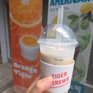 타이거브루스 사진