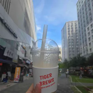 타이거브루스 사진