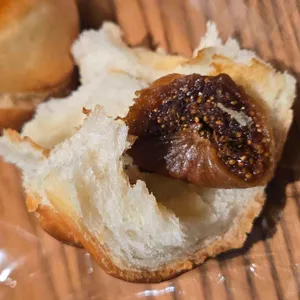 타이거브루스 사진