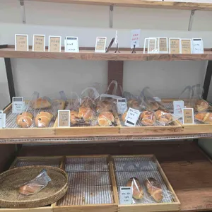 타이거브루스 사진