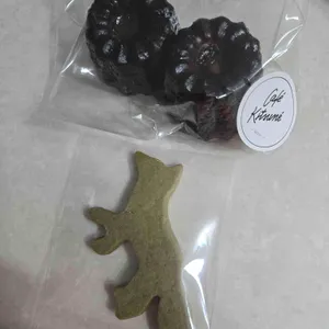 메종키츠네 사진