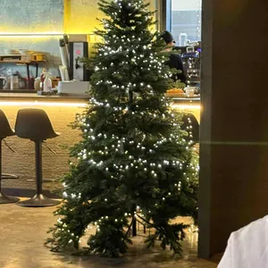 올리부치 리뷰 사진