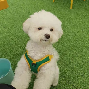 200퍼센트 리뷰 사진