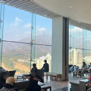 소노펠리체 델피노 더엠브로시아 리뷰 사진