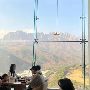 소노펠리체 델피노 더엠브로시아 리뷰 사진