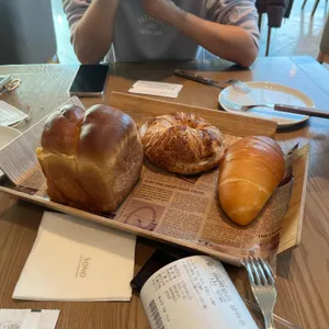 소노펠리체 델피노 더엠브로시아 리뷰 사진