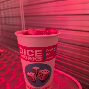 다이스웍스 대표 사진