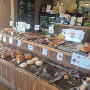 본앤하이리 사진