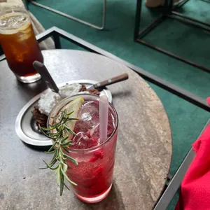 꽁티드툴레아 사진