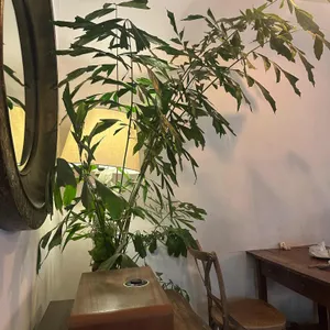 쿠로이시로 리뷰 사진