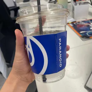 파라노이드 사진