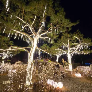 시몬스테라스 리뷰 사진