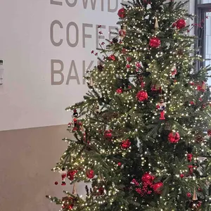 로와이드 압구정 리뷰 사진