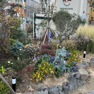 브랜드하이커피 리뷰 사진