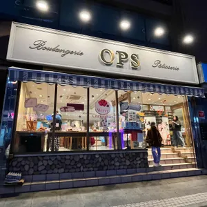 옵스 리뷰 사진